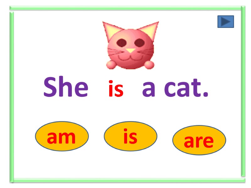 She ….. a cat. am is are is